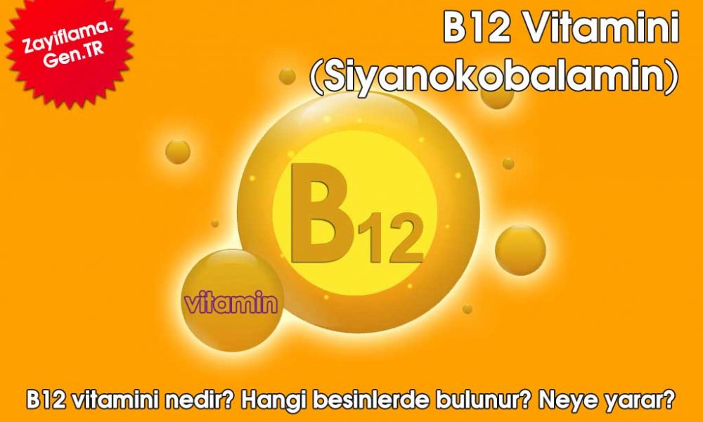 B12 Vitamini | B12 Vitamini Nedir? B12 Fayfaları Nelerdir? B12 Eksikliği